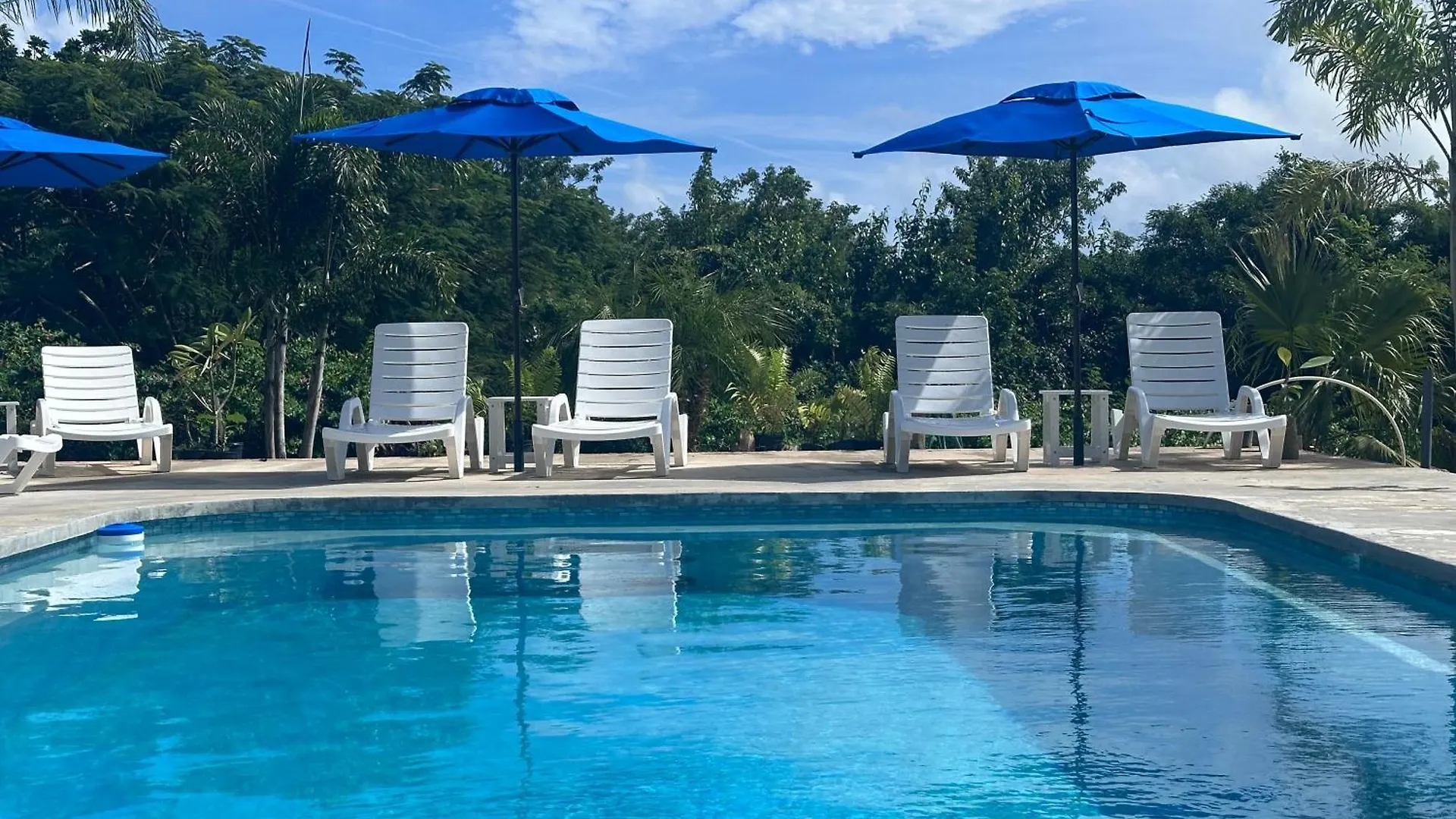 Club Vieques - Adults Only Resort - Lgbt Friendly 4*,  Puerto Rico