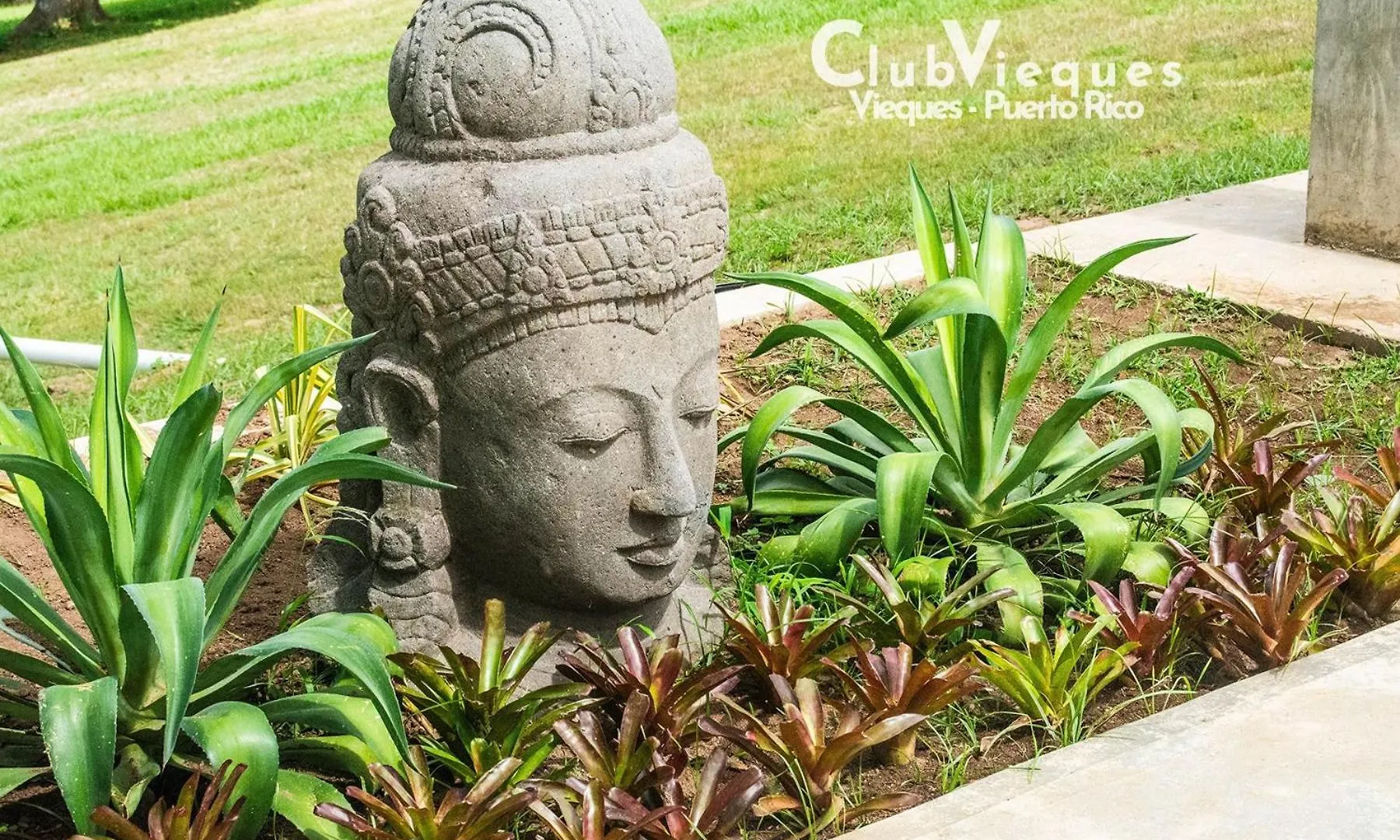 Club Vieques - Adults Only Resort - Lgbt Friendly