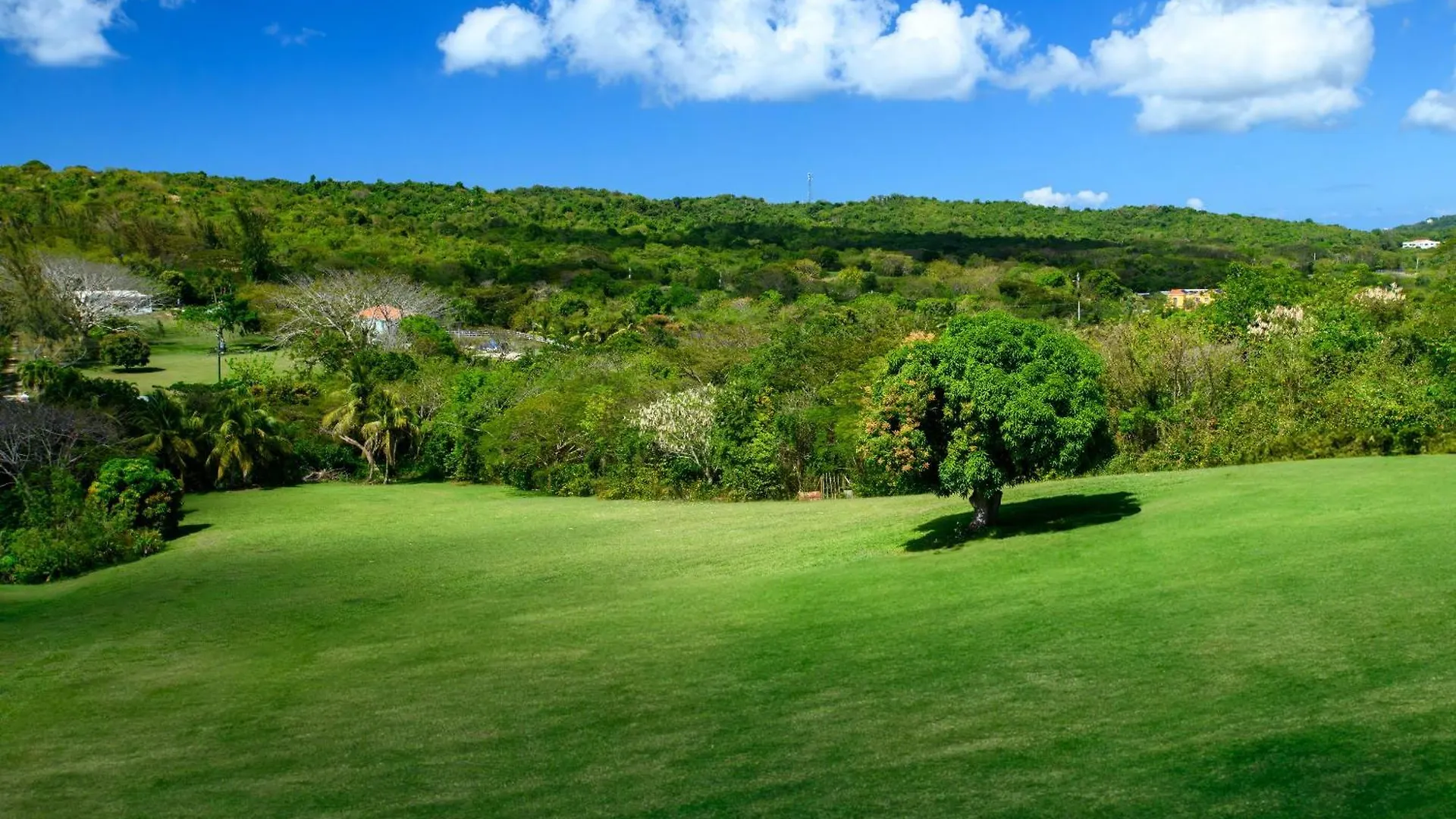 Club Vieques - Adults Only Resort - Lgbt Friendly Hotel